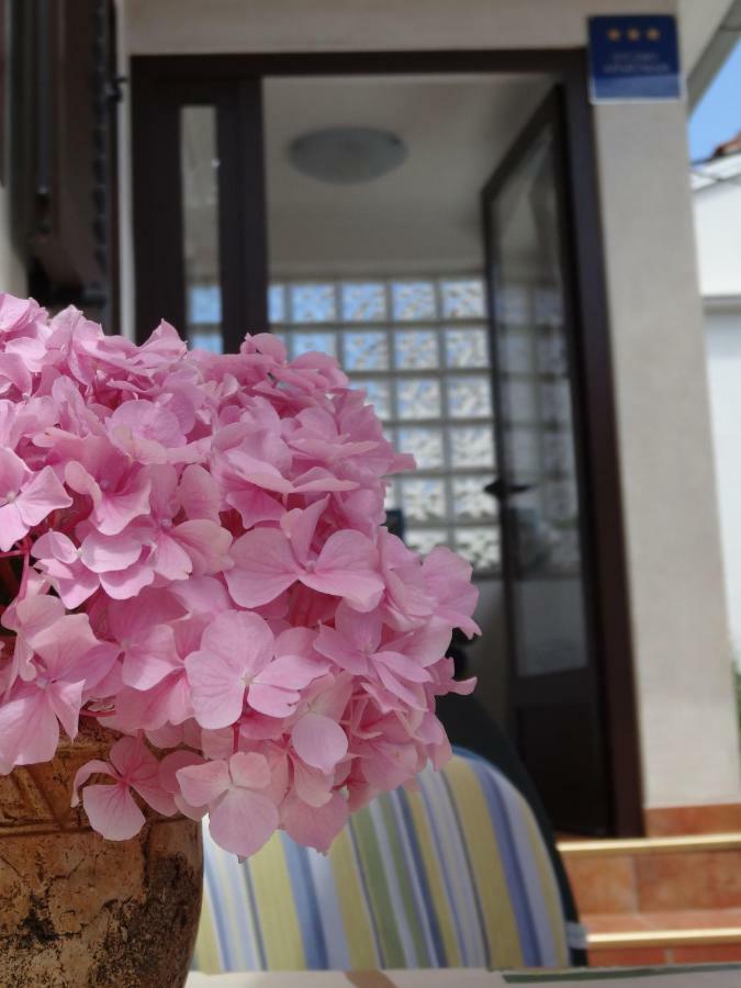 Apartament Latis Rovinj Zewnętrze zdjęcie